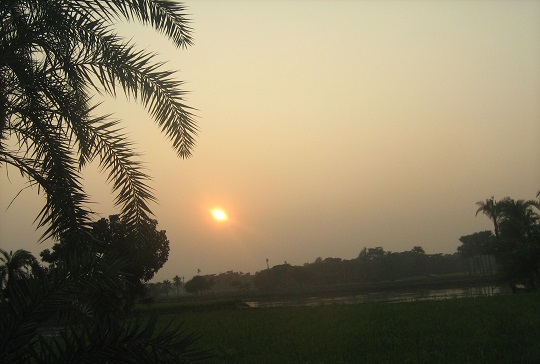 image-here